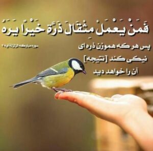 خواص خواندن سوره زلزال برای شفای بیماری تب و لرزش بدن