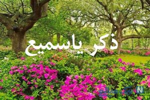 خواص و فضیلت ذکر یا سمیع یا بصیر برای اجابت دعا و حاجت روایی