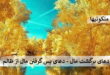 دعای برگشت مال - دعای پس گرفتن مال از ظالم