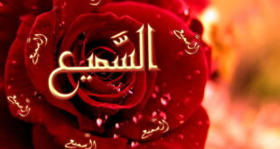 ختم ذکر یا سمیع یا بصیر,خواص و فضیلت ختم ذکر یا سمیع یا بصیر