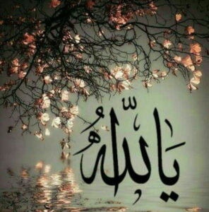 خواص ذکر الله برای حاجت,طریقه ختم ذکر یا الله برای طلب حاجت