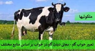 تعبیر خواب گاو - معانی دیدن گاو در خواب بر اساس منابع مختلف