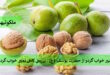 تعبیر خواب گردو از حضرت یوسف (ع) - بررسی کامل تعبیر خواب گردو