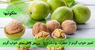 تعبیر خواب گردو از حضرت یوسف (ع) - بررسی کامل تعبیر خواب گردو