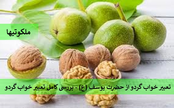 تعبیر خواب گردو از حضرت یوسف (ع) - بررسی کامل تعبیر خواب گردو