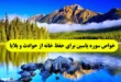 خواص سوره یاسین برای حفظ خانه از حوادث و بلاهاى زمینى و آسمانى