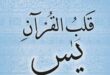 خواص سوره یس برای ازدواج با معشوق فوری و تضمینی و سریع الاجابه