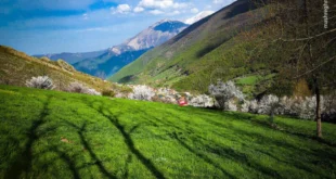 دعای معجزه آسا برای روا شدن حاجت در همان ساعت تضمینی و مجرب