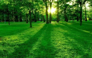 دعای معجزه آسا برای شفای بیمار,دعای معجزه گر شفای بیمار