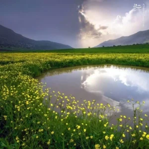 آیه ای از قرآن که برای افزایش مشتری و رونق کسب و کار بسیار مجرب است