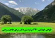 خواص خواندن 330 مرتبه سوره قدر برای حاجت روایی و اجابت حاجت فوری