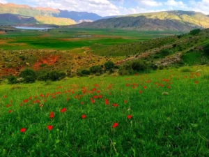دعاهای معجزه گر برای ازدواج,دعای تجربه شده قوی برای ازدواج