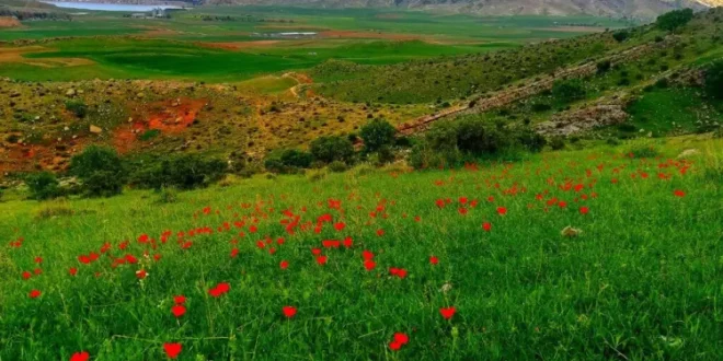 دعاهای معجزه گر برای ازدواج,دعای تجربه شده قوی برای ازدواج