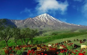 دعای قوی برای جلب محبت همسر و جلب مهر و محبت محبوب