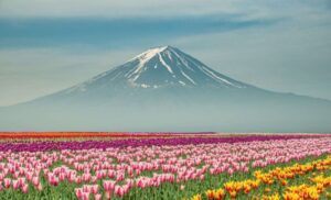 دعای قوی و مجرب در خزینه الاسرار برای زبان بندی و بستن زبان دشمنان
