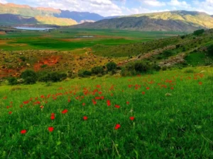 دعای معجزه گر قرآنی برای افزایش خیر و برکت در کسب و کار و کاسبی