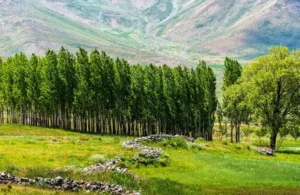 دعایی معجزه آسا برای افزایش عمر و طول عمر و سلامتی از امام صادق