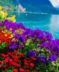 دعایی معجزه آسا برای تبدیل فقر به ثروت و وسعت رزق و روزی