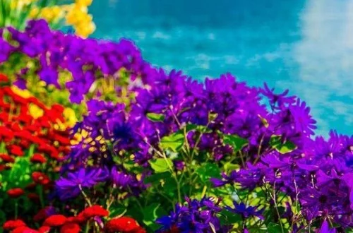 دعایی معجزه آسا برای تبدیل فقر به ثروت و وسعت رزق و روزی