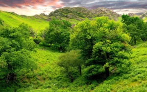 نسخه ای عجب برای بستن زبان دشمن تضمینی از مرحوم شوشتری