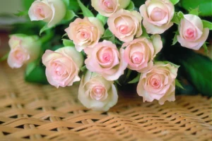 اگر می خواهید مهر و محبت شخصی را احضار کنید دعای زیر معجزه می کند