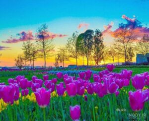 اگر چشم زخم خورده اید دعای زیر برای باطل کردن چشم زخم معجزه می کند