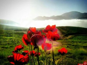با خواندن این دعا رزق و روزی تان در خانه و مغازه افزایش می یابد