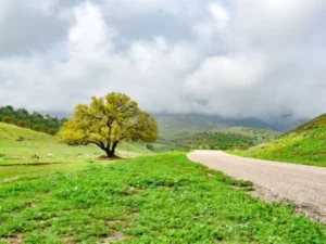 دستورالعمل سه روزه برای روا شدن خواسته و ازدواج آسان