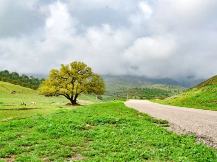 دستورالعمل سه روزه برای روا شدن خواسته و ازدواج آسان