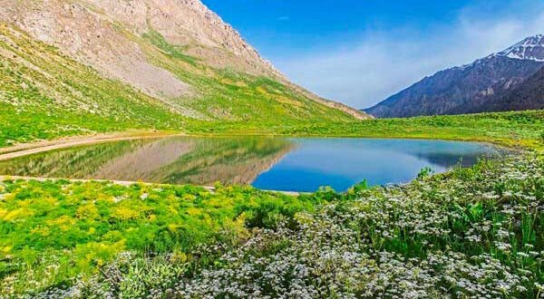 دعای موقع بیرون رفتن از خانه برای سفر یا برای هر کاری