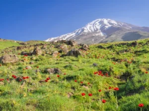دعای نوشتنی برای دفع شر اجنه و از بین رفتن ترس از اجنه