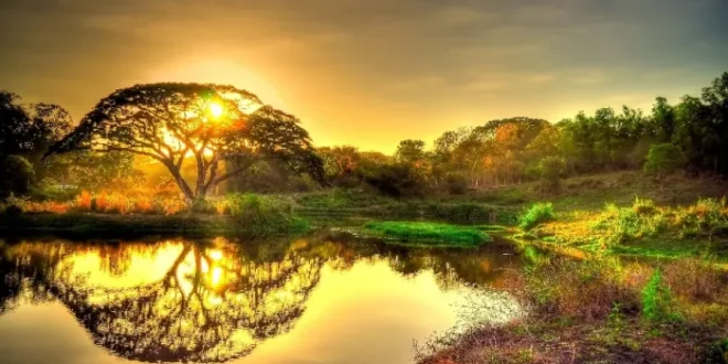 دعایی از شیخ بهایی برای محفوظ ماندن از جمیع بلایا و خطرات