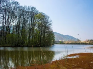 دعایی قوی برای بیشتر شدن محبت و عشق معشوق به شما