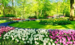 دعایی مجرب در خواص الايات برای باز شدن بخت دختران و پسران