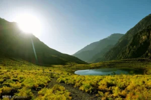 دعایی که خواندن آن برای زیاد شدن هوش و حافظه بسیار موثر است