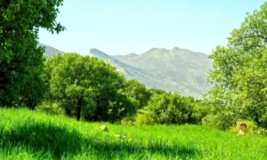 ذکر کلید مشکلات و گرفتاری ها برای گره گشایی از مشکلات زندگی