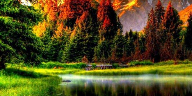 قویترین دعای ایجاد عشق و علاقه و رفع سردی میان زن و شوهر