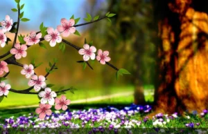 برای افزایش رزق و روزی و رسیدن به مقام و منزلت چه دعایی مجرب است؟