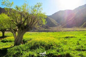 بهترین دعایی که برای ایجاد صلح و آشتی و دوستی توصیه شده است