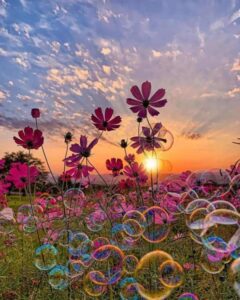 خواص خواندن آیه ۷۴ سوره فرقان برای بچه دار شدن