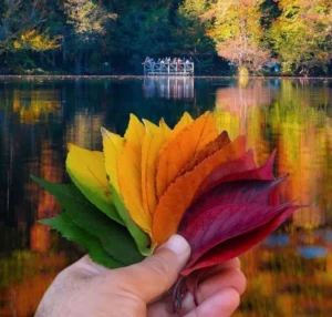 دعای زبان بند قوی برای معشوق و جلب عشق و علاقه و محبت معشوق