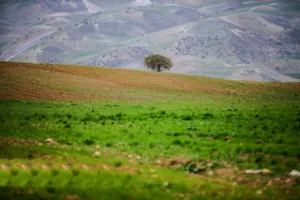 دعای یا جامِعَ الناس لِیَومٍ لارَیبَ فیه برای آمدن خواستگار و یافتن زوج مناسب