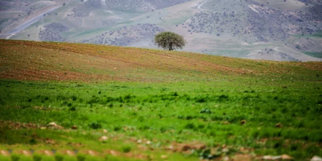 دعای یا جامِعَ الناس لِیَومٍ لارَیبَ فیه برای آمدن خواستگار و یافتن زوج مناسب