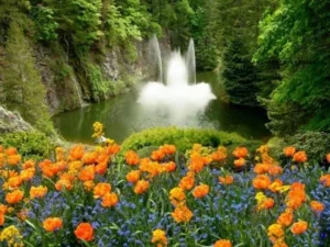 دعایی فوق العاده قوی برای ایجاد مهر و محبت در دل مطلوب با نمک