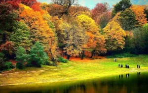 دعایی فوق العاده مجرب برای رام و مطیع شدن زن سرکش و نافرمان