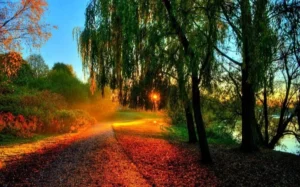 ذکر یا عالِیُ یا کافِی ذکری گرانبها برای رسیدن ثروت از غیب