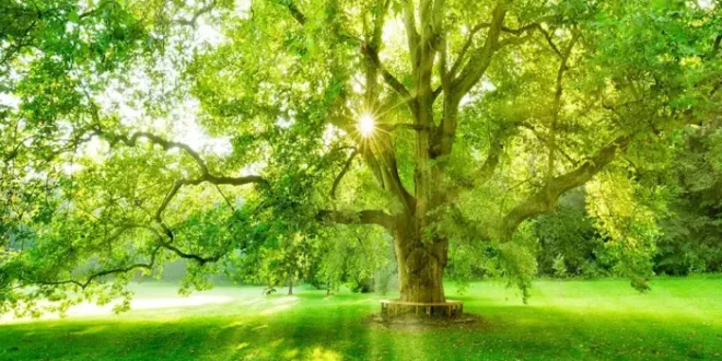 8 اسم از اسم های اعظم خداوند برای استجابت فوری حاجات