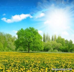 خواص ذکر حسبی الله برای دفع دشمن و رهایی از شر دشمن