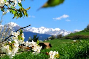 خواص ذکر یا ماجد برای شفای هر بیماری و مریضی سخت