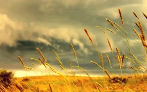 دعایی برای سریع و آسان پیدا کردن فرد مناسب برای ازدواج